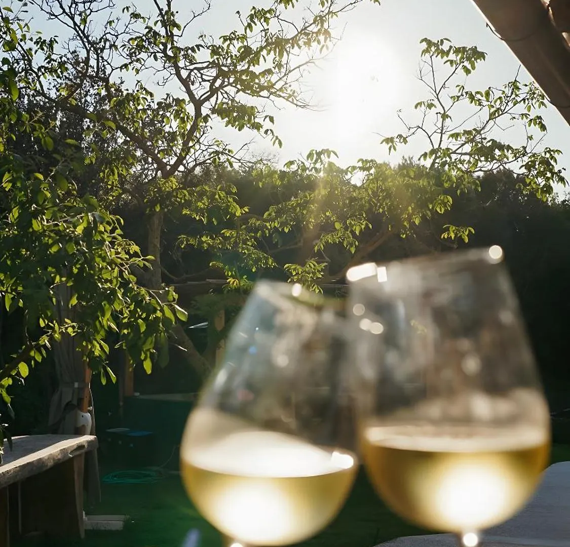 Farm stay Podere Scoldasu - Minerva Massa Marittima